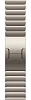 Часы Apple Watch Series 12 46mm Titanium Case Natural Link Bracelet 100_100_851863