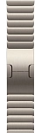 Часы Apple Watch Series 12 46mm Titanium Case Natural Link Bracelet 250_100_851863