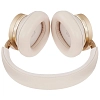 Наушники Bang&Olufsen Beoplay H95 Gold Tone 100_100_723015