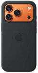 Чехол Apple iPhone 17 Pro Silicone Case with MagSafe – Black 250_100_656552