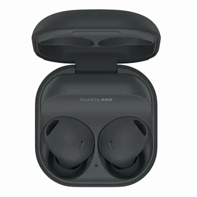 Наушники Samsung Galaxy Buds 2 Pro Graphite 400_400_627150