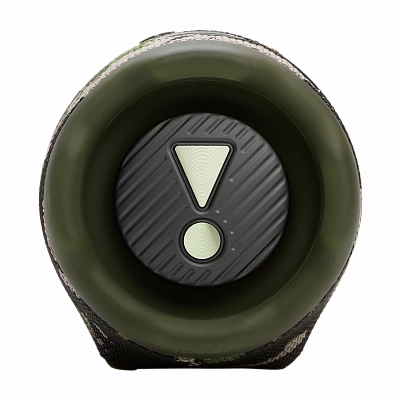 Портативная колонка JBL Charge 6 Camouflage 400_400_590323