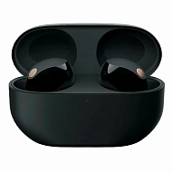 Наушники Sony WF-1000XM5 Black 500_191_137284