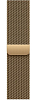 Часы Apple Watch Series 12 42mm Titanium Case Radiant Gold Milanese Loop 100_100_851971