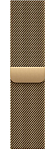 Часы Apple Watch Series 12 42mm Titanium Case Radiant Gold Milanese Loop 250_100_851971