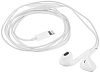 Наушники Apple EarPods (Lightning) 100_100_827354