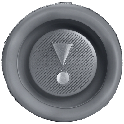 Портативная колонка JBL Flip 6 Grey 400_400_756564
