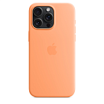 Чехол для iPhone 15 Pro Max Silicone Case with MagSafe - Orange Sorbet 250_100_642076