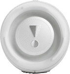 Портативная колонка JBL Charge 5 White 250_100_813756