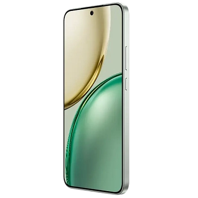 Смартфон Honor X9d 8/256GB Forest Green 400_400_745681