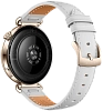 Часы Huawei Watch GT 7 41mm Grey 100_100_850361