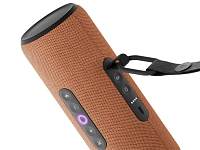 Яндекс Станция Стрит с Алисой (Оранжевый) 250_100_685928