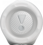 Портативная колонка JBL Charge 6 White 250_100_756403
