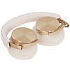 Наушники Bang&Olufsen Beoplay H95 Gold Tone 100_100_723016