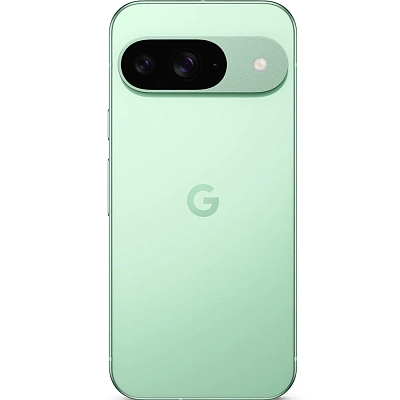 Смартфон Google Pixel 9 12/128GB Wintergreen (JP)